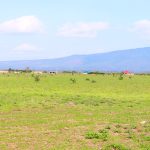 Superior Gardens Properties Kenya - Amani-Mashariki