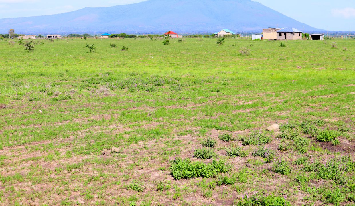 Superior Gardens Properties Kenya - Amani-Mashariki