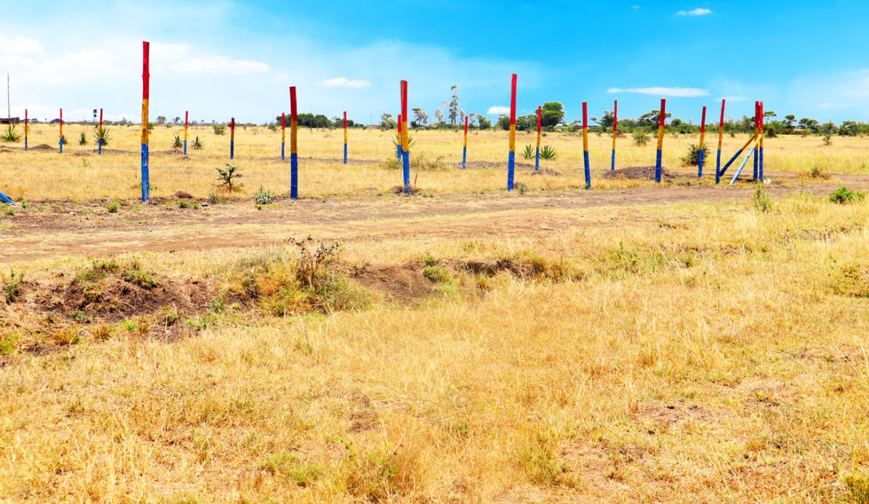 Superior Gardens Properties Kenya - Amani-Mashariki