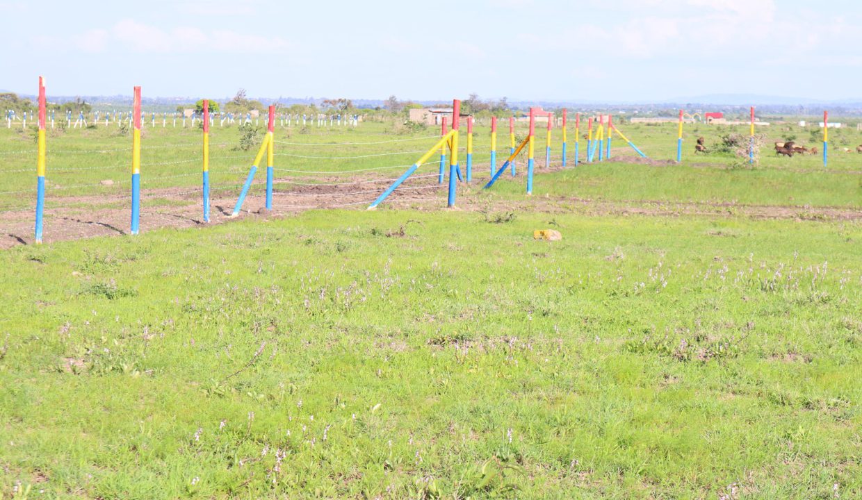 Superior Gardens Properties Kenya - Amani Springs