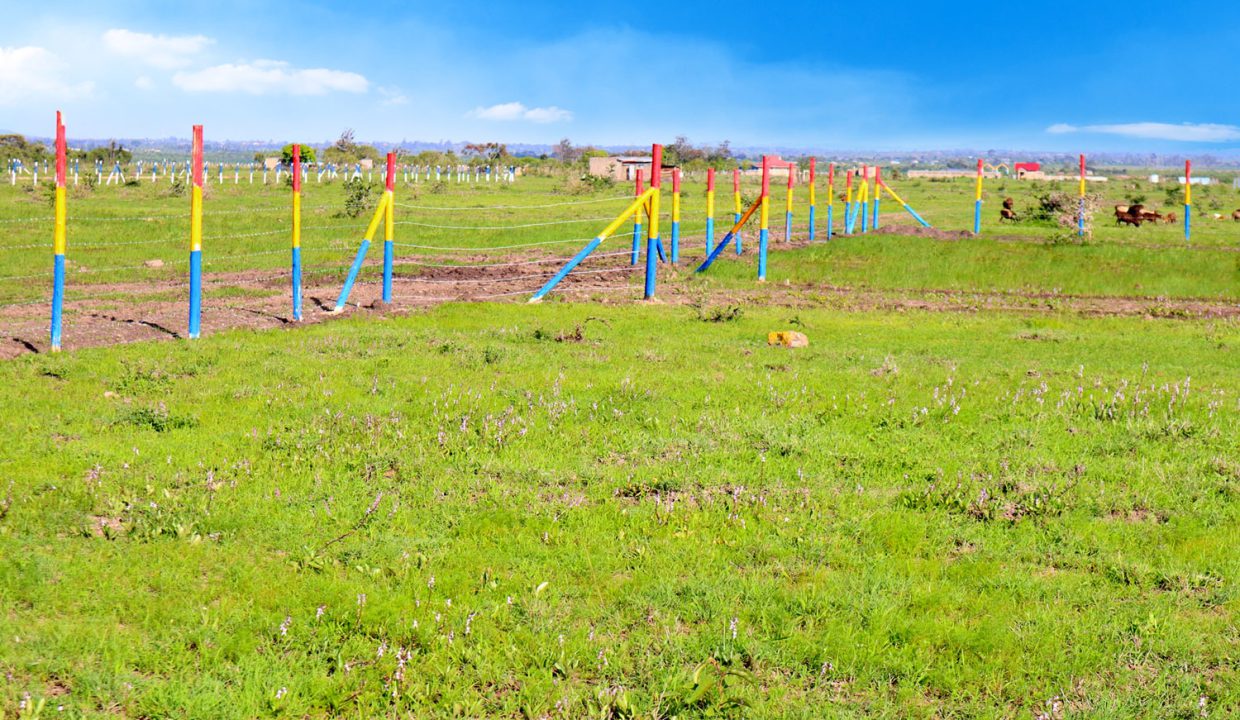 Superior Gardens Properties Kenya - Amani Springs