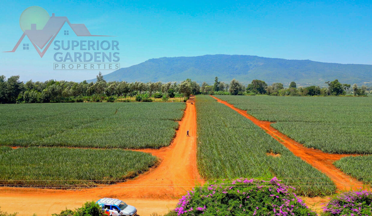 Superior Gardens Properties Kenya- Amani Kilimambogo
